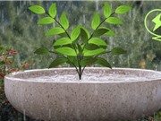Thực vật nhân tạo hấp thu năng lượng từ gió và mưa