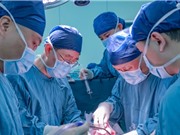 Ca ghép gan lợn chỉnh sửa gene thành công đầu tiên