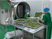 Sấy đông khô - công nghệ cho những sản phẩm cao cấp