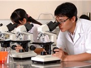 Đến 2025, có 25 - 30 tổ chức KH&CN công lập được xếp hạng khu vực và thế giới