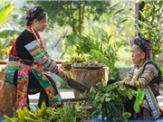 Tri thức truyền thống: Xây dựng cơ chế bảo hộ hợp lý?