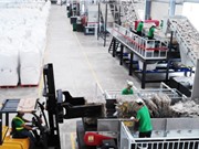 TPHCM: Hỗ trợ doanh nghiệp ngành cao su - nhựa