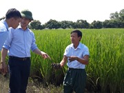 Quỹ KH&CN địa phương: Tìm lời giải cho nút thắt