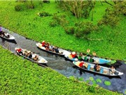 TPHCM: Xây dựng nền tảng thông tin về hợp tác với vùng Đồng bằng Sông Cửu Long