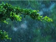 Bằng chứng về những cơn mưa đầu tiên trên Trái đất