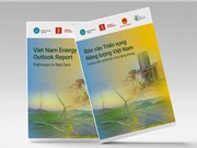 Báo cáo Triển vọng năng lượng Việt Nam 2024: Kịch bản Net Zero khả thi về mặt kỹ thuật và hiệu quả nhất về chi phí