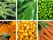 QUATEST3 triển khai phương pháp xác định lutein và zeaxanthin trong thực phẩm 