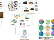 AI giúp nắm bắt tác động của vi nhựa đối với tính chất đất 