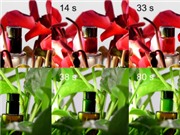 Vật liệu ngụy trang đột phá có thể giúp con người tàng hình