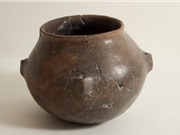 Thêm hai chỉ thị sinh học cho nghiên cứu về đồ đất nung, đồ gốm khảo cổ học