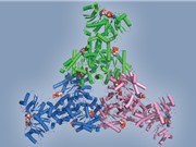 Một dạng mới của hóa học CRISPR