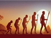 Ánh sáng Mặt trời định hình quá trình tiến hóa của nhân loại