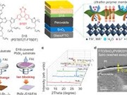 Lớp polymer siêu mỏng giúp tăng hiệu suất pin Mặt trời perovskite