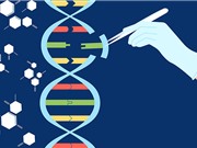 Vì sao con người có lỗi gene?