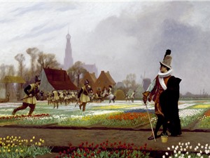 Sự thật về “bong bóng hoa tulip”