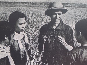 Dấu ấn của các nhà khoa học nông nghiệp giai đoạn 1955-1975