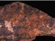 Cách xử lý thực phẩm của người Neanderthal