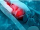 Ngăn chặn tích tụ cholesterol bằng cách vô hiệu hóa enzyme