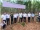Lò phản ứng nghiên cứu mới cho Việt Nam: Giấc mơ hai thập niên